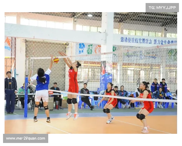 大洋篮球风采:传承与创新 大洋篮球风采:传承与创新